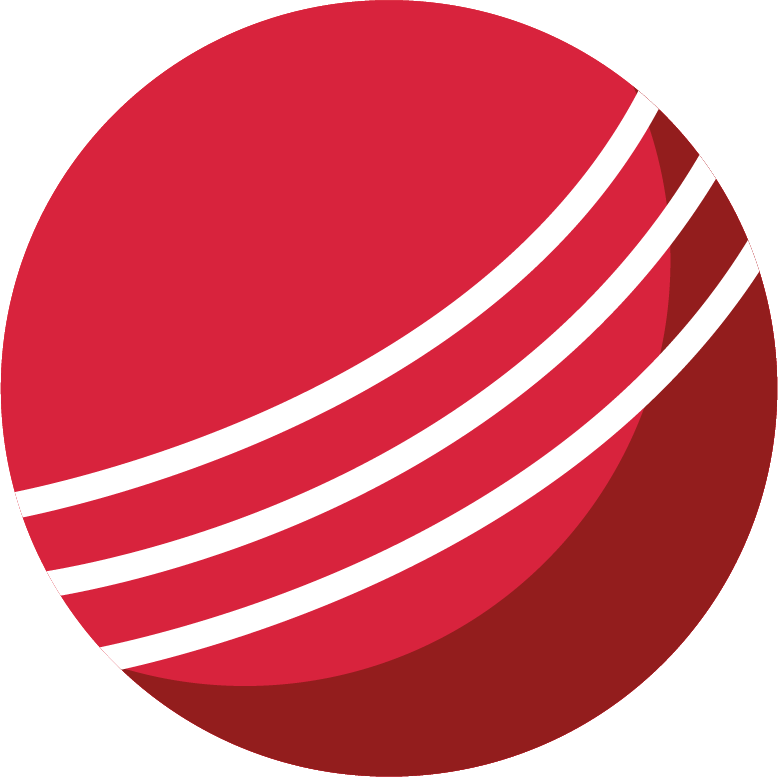 Cricket Ball
